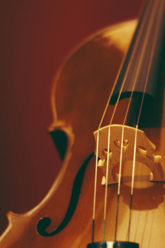 Famed British Musician Forced To Cancel Concert In Canada After Airline Denied His Booked Seat For $3M Cello